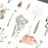 Naklejki transferowe | 206