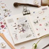 Naklejki transferowe | 240