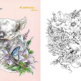 Kolorowanka Livre de Coloriages | Ken Matsuda