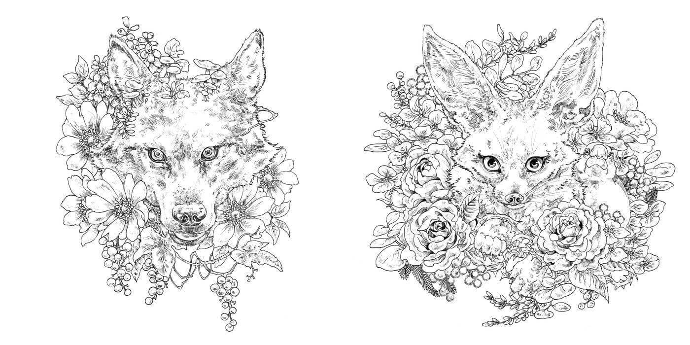 Kolorowanka Livre de Coloriages | Ken Matsuda