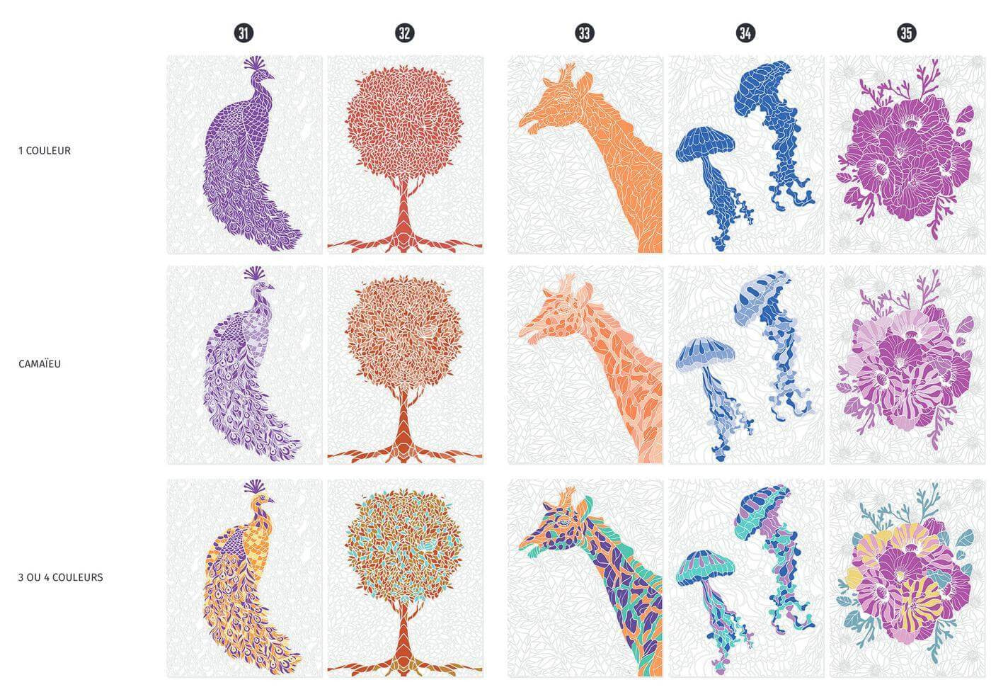 Kolorowanka Coloriages mystères | Świat przyrody