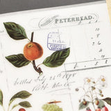 Naklejki transferowe | 126