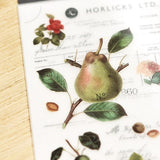 Naklejki transferowe | 126