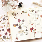 Naklejki transferowe | 158