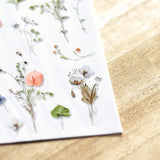 Naklejki transferowe | 160