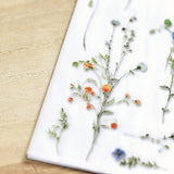 Naklejki transferowe | 160