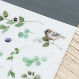 Naklejki transferowe | 187