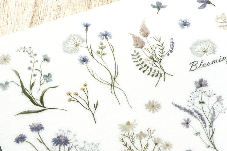 Naklejki transferowe | 203