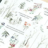 Naklejki transferowe | 209