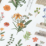 Naklejki transferowe | 213