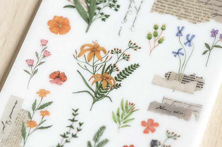 Naklejki transferowe | 213