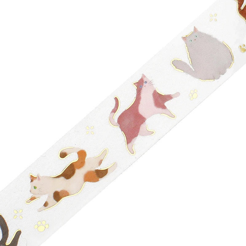 Taśma dekoracyjna PET | Kotki