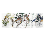 Notesy Field Notes Ptaki i Drzewa Ameryki Północnej 3 szt. w linie