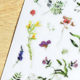 Naklejki transferowe | 145