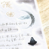 Naklejki transferowe | 163