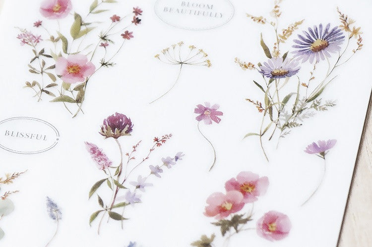 Naklejki transferowe | 241