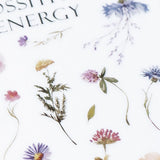 Naklejki transferowe | 241