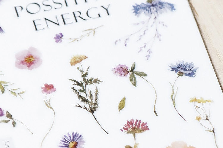 Naklejki transferowe | 241