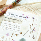 Naklejki transferowe | 267