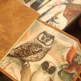 Szkicownik z wiązaniem Bomo Art | Brązowy