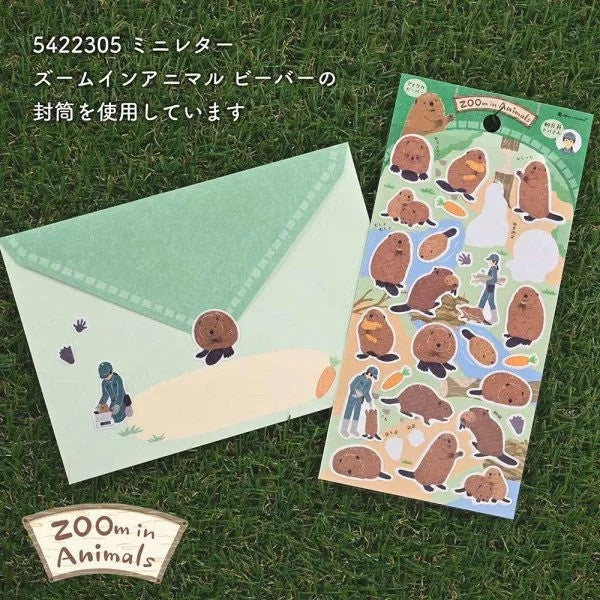 Naklejki ZOO | Bóbr