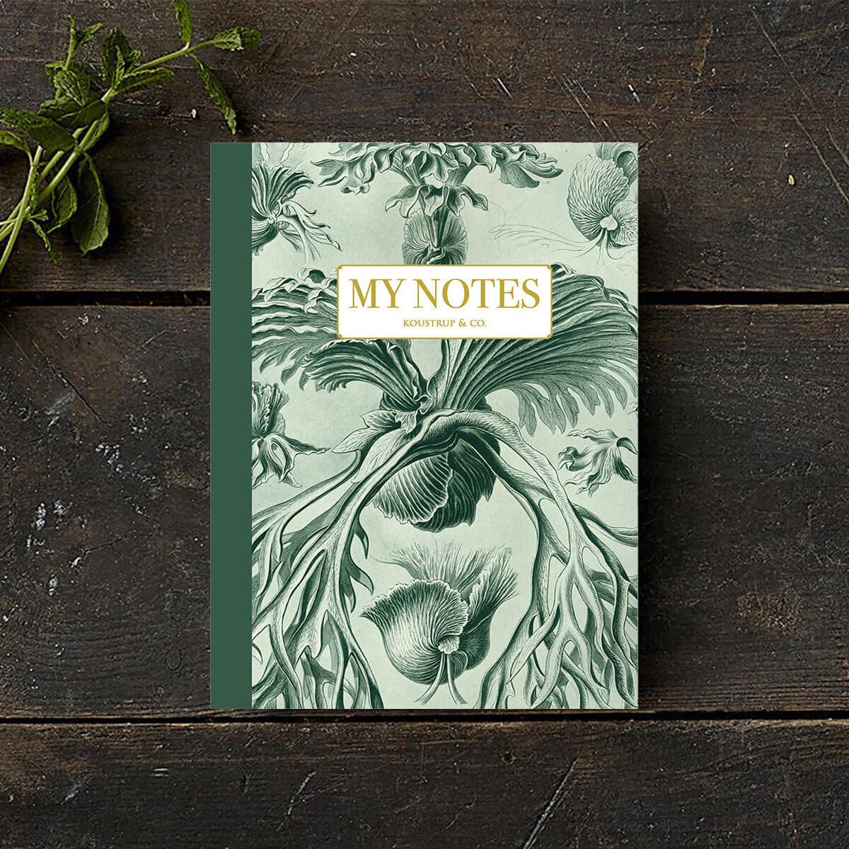 Zeszyt | Meduzy Haeckela - Zielone