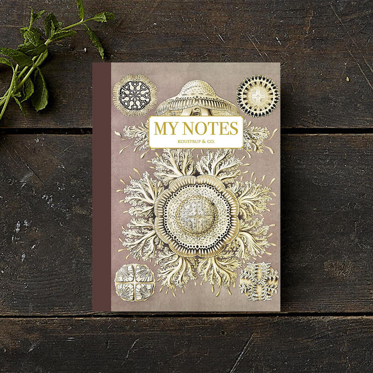 Zeszyt | Meduzy Haeckela - Brązowe