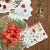 Zeszyt | Czerwone Rośliny