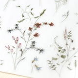 Naklejki transferowe | 221