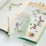 Kalka kreatywna | Stare piosenki