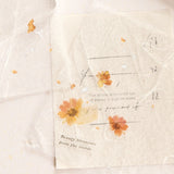 Papier teksturowany | 01