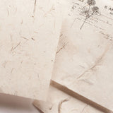 Papier teksturowany | 05