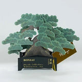 Kartka okolicznościowa 3D Bonsai | Sosna Thunberga