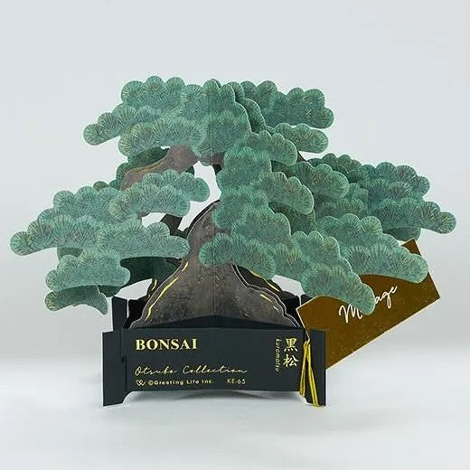 Kartka okolicznościowa 3D Bonsai | Sosna Thunberga