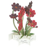 Kartka okolicznościowa 3D Blooming | Kosmosy krwistoczerwone