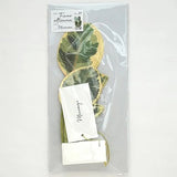 Kartka okolicznościowa 3D Blooming | Fikus