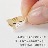 Naklejki | Rasy kotów