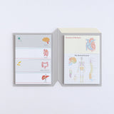 Karteczki indeksujące Study Holic | Fizjologia człowieka