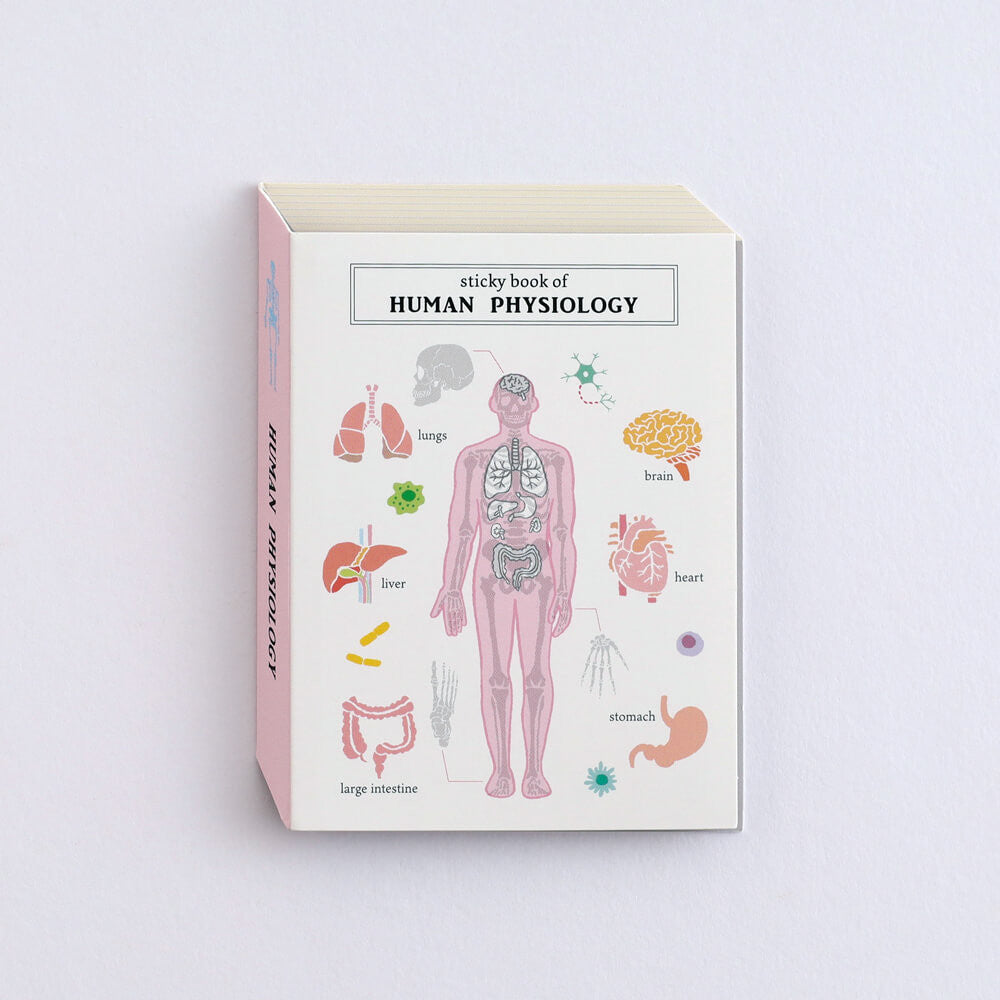 Karteczki indeksujące Study Holic | Fizjologia człowieka
