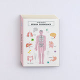 Karteczki indeksujące Study Holic | Fizjologia człowieka