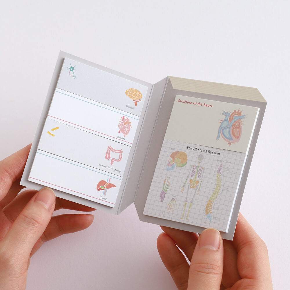 Karteczki indeksujące Study Holic | Fizjologia człowieka