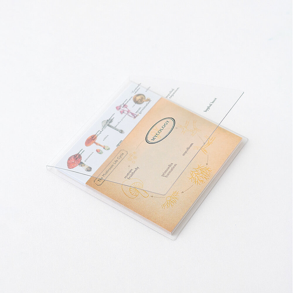 Karteczki samoprzylepne Study Holic | Mykologia