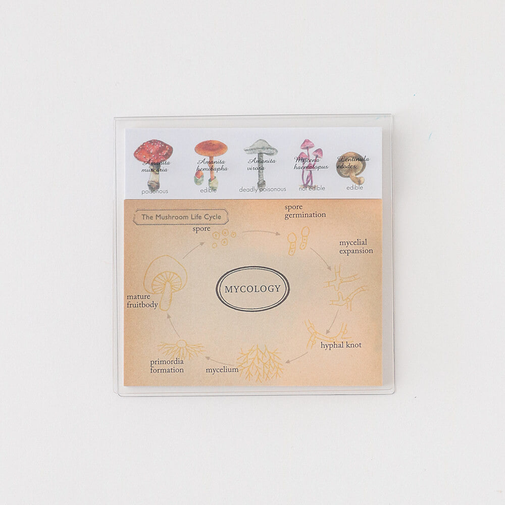 Karteczki samoprzylepne Study Holic | Mykologia