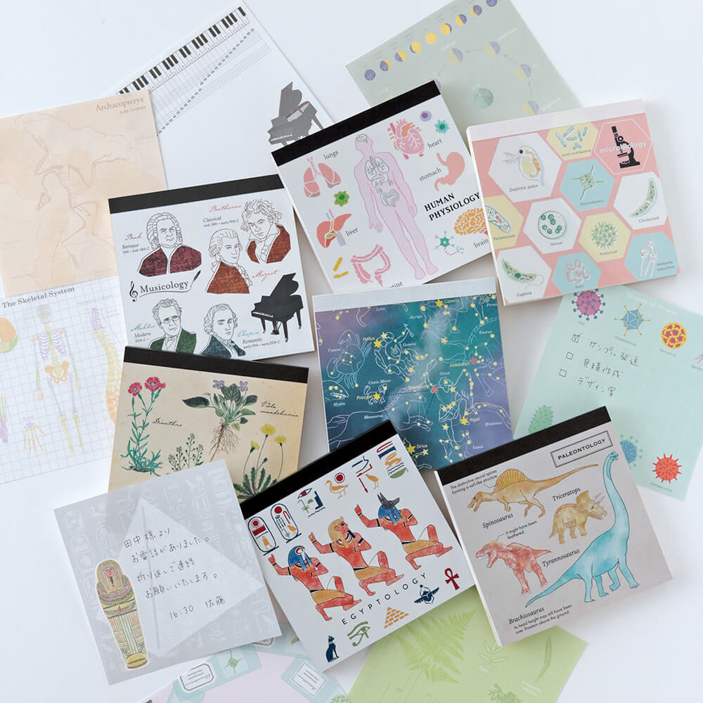 Notes Memo Pad Study Holic | Biologia Ewolucyjna