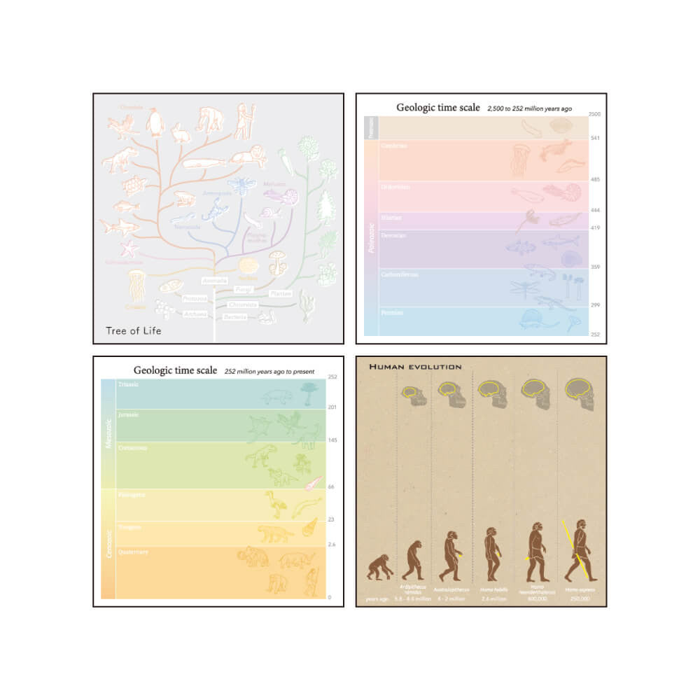 Notes Memo Pad Study Holic | Biologia Ewolucyjna