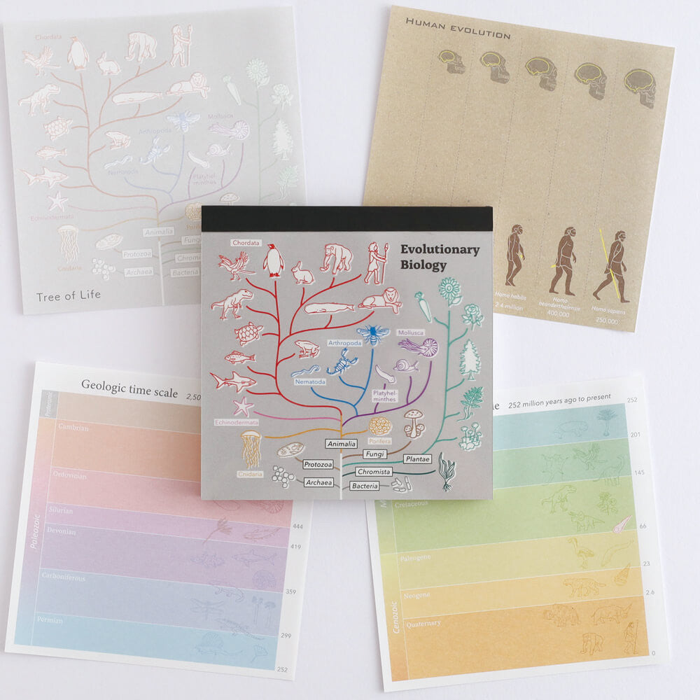 Notes Memo Pad Study Holic | Biologia Ewolucyjna