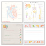 Notes Memo Pad Study Holic | Fizjologia człowieka