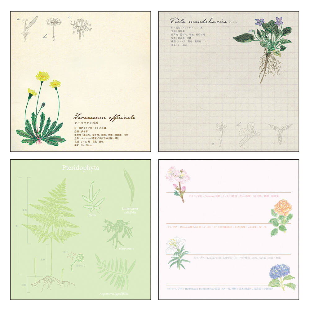 Notes Memo Pad Study Holic | Botanika