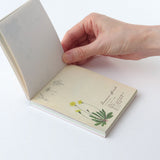 Notes Memo Pad Study Holic | Botanika