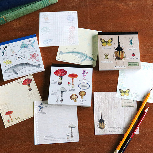 Notes Memo Pad Study Holic | Mykologia